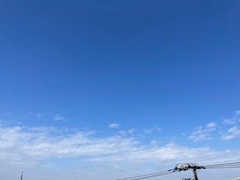 IMG_9944.jpeg
