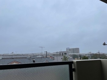 IMG_9968.jpeg